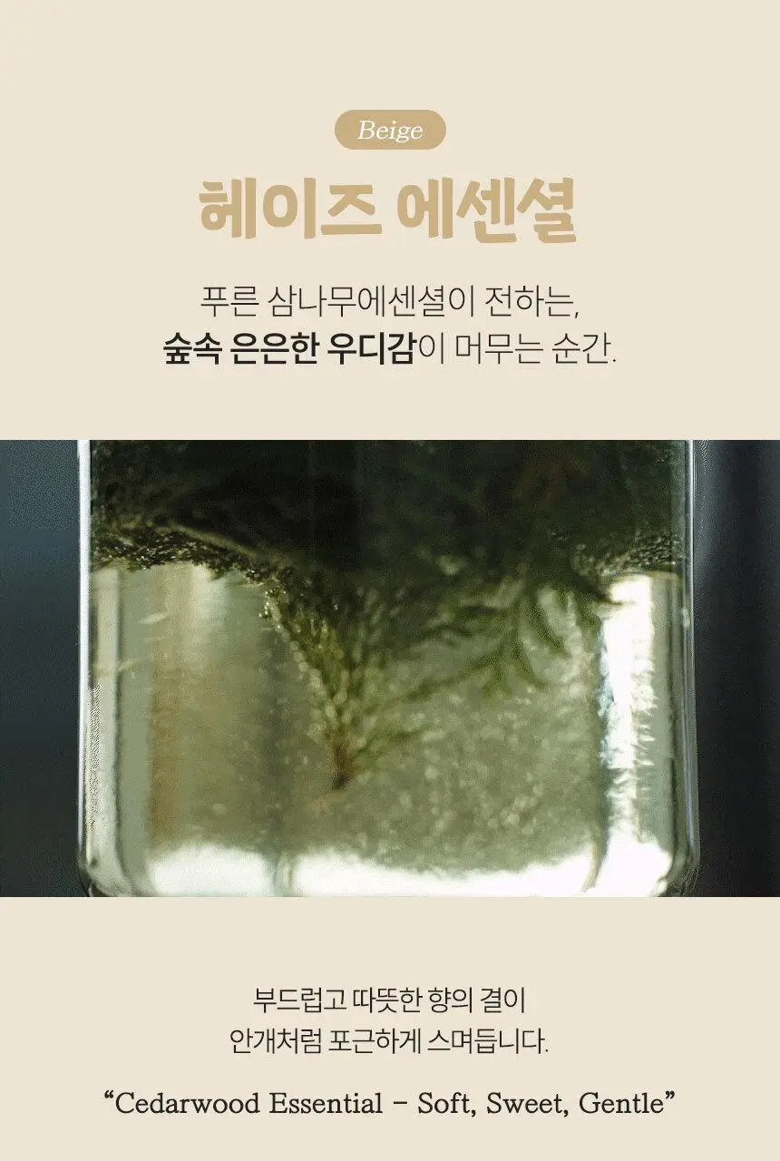 [1위 탈취제] 위프 고체형 탈취제 7종 골라담기 (화이트/블랙/베이지/핑크/퍼플) 상세페이지 18